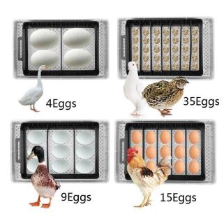 9  Egg Incubator