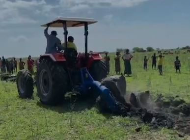 A tractor plows a green field under a sunny sky, with a crowd observing from a distance. Dust rises as the tractor moves forward.