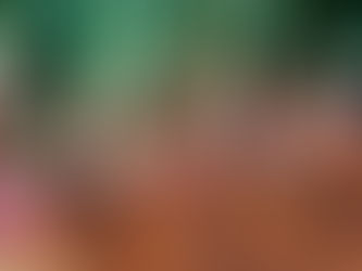 Image of Bulb onions