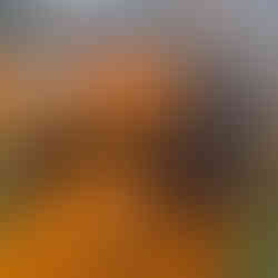 SANY Excavator SY365H & SY335C for sale