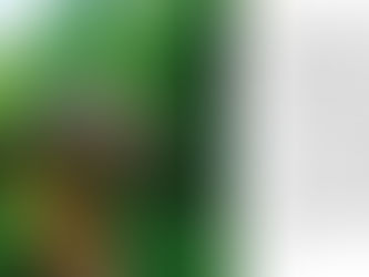 Budget-Friendly Nature Destinations in Europe (Forests, Parks & Hidden Trails)