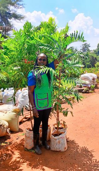 Woman in a green apron stands beside a young Thika Palm tree in a garden, surrounded by soil bags under a clear blue sky. She's smiling.