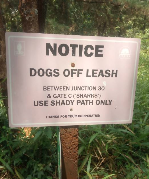 Sign in a wooded area reads: "NOTICE DOGS OFF LEASH between Junction 30 & Gate C ('Sharks'). USE SHADY PATH ONLY."