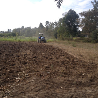 NewHolland tt75 tractor farming