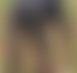 Person in a black hoodie bends over in a field, using a tool in a rusted container. Sparse green plants on brown soil. Overcast mood.