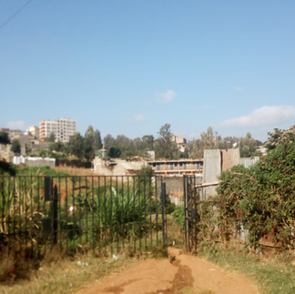 Image of pickens gate ngomongo