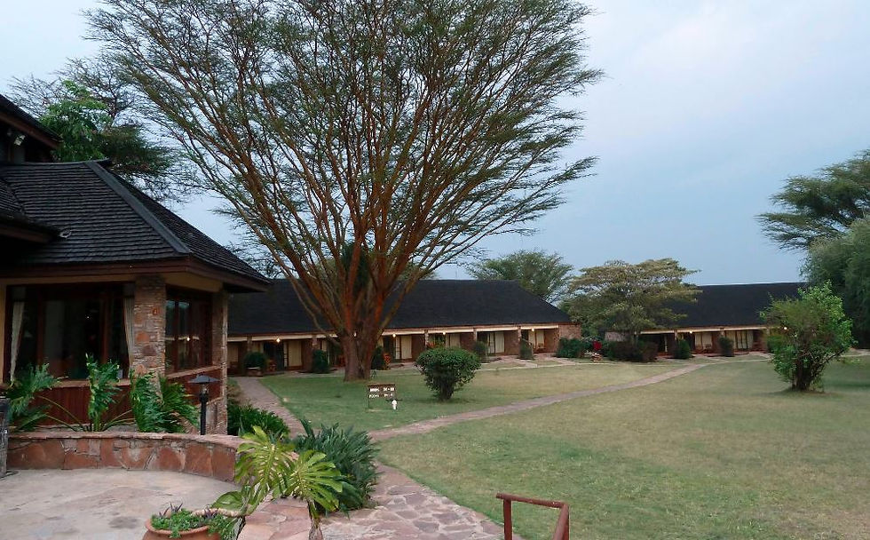 Lush garden with large trees and stone pathways in a peaceful lodge setting, surrounded by wooden buildings under an overcast sky.