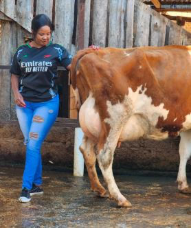 Woman in a black sports jersey and blue jeans stands next to a brown cow in a rustic setting, smiling. Shed wall in the background.