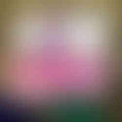 Fresha lala 500ml pouch