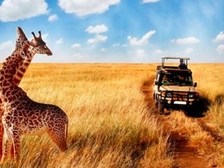 Masai Mara Safari Guide A–Z: Packages, Wildlife, Prices, Map & Travel Tips (2025)