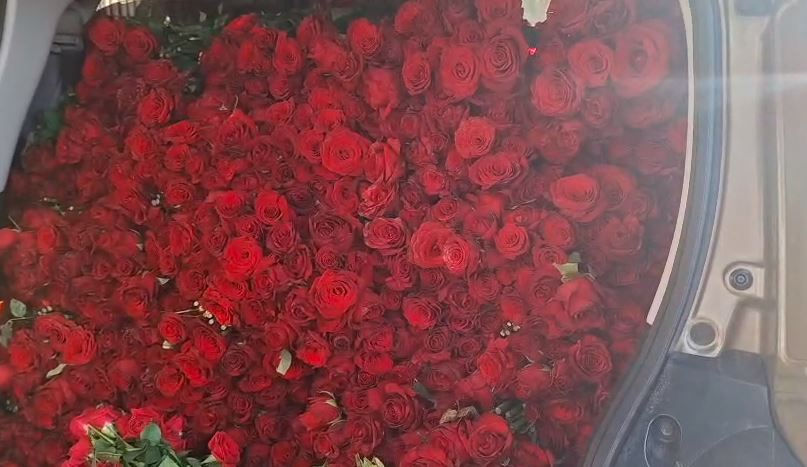 Fresh Roses in Nairobi at Ksh 85 Per Stem – Wholesale & Bulk Buying Guide (2026 Price Update)