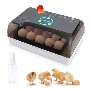 9-35 Egg Incubator