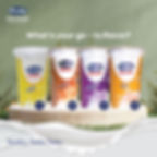 Image of Fresha Dairy Yoghurt flavours