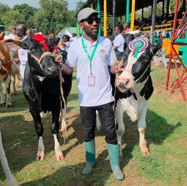 Man in cap and sunglasses stands between two ribboned prize cows at an outdoor livestock show, with a colorful grandstand.