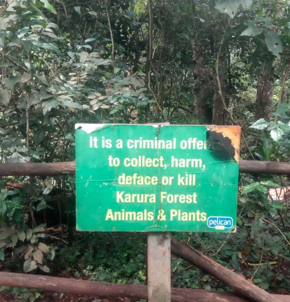 Green sign in a forest reads: "It is a criminal offense to collect, harm, deface or kill Karura Forest Animals & Plants." Surrounded by foliage.