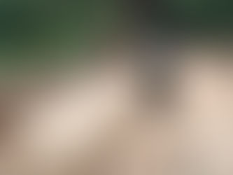 A man holding a chain saw as he slices through woord