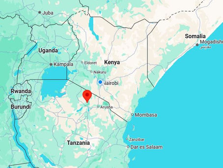 Wildebeest Great Migration in Kenya & Tanzania