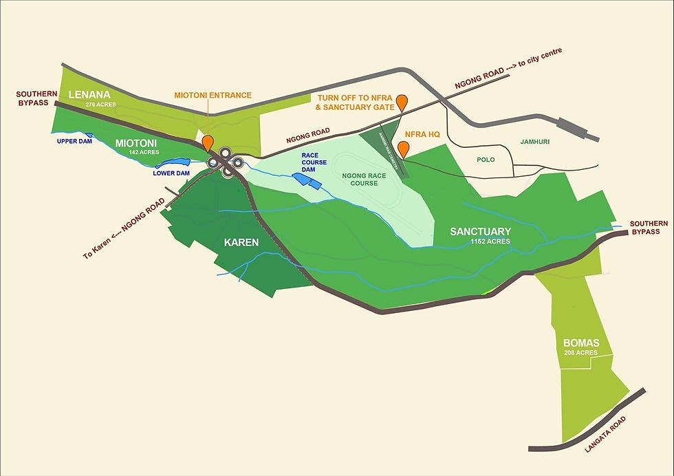 Image of Ngong Forest Map