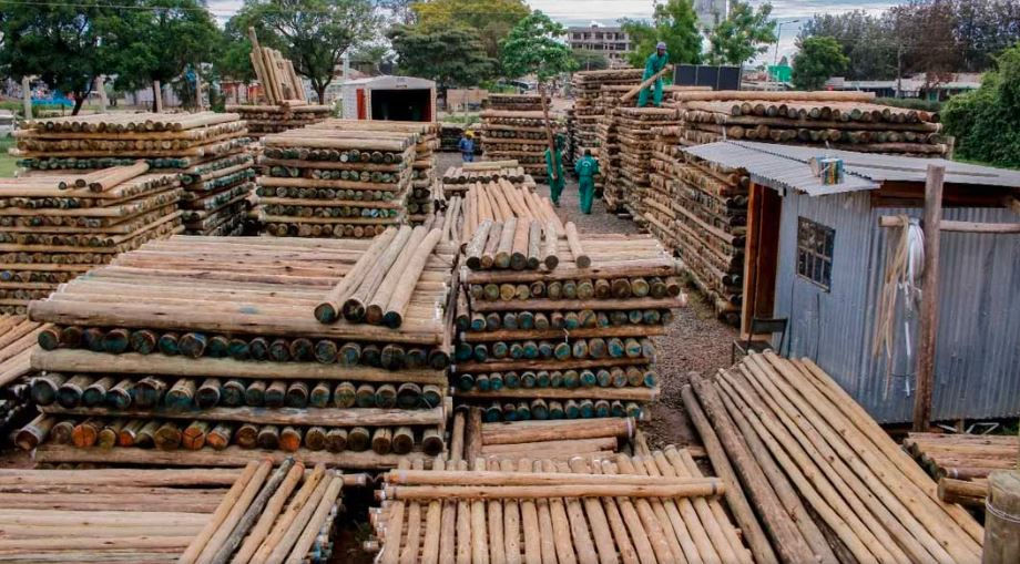 Stacked wooden logs in a lumberyard with workers in green uniforms. Trees and a metal shed are in the background. Cloudy sky overhead.