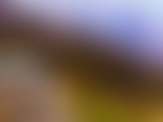 Mount Kenya Day Trip: Hiking, Wildlife & Scenic Views Every Saturday