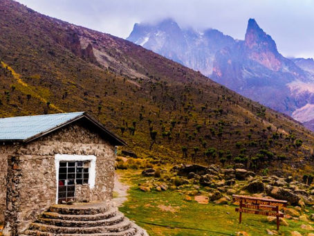 Mount Kenya Day Trip: Hiking, Wildlife & Scenic Views Every Saturday