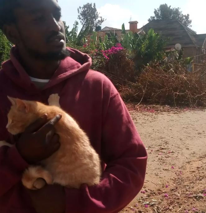 Man in a maroon hoodie holds a ginger cat outdoors. Background shows greenery, houses, and a dirt path, under a bright sky.