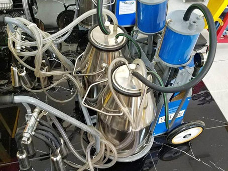 A Double bcket milking machine