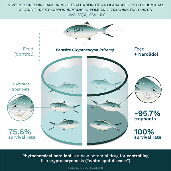 Graphical abstract 2.png