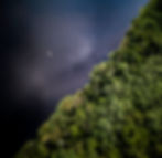 Aerial view of Amazon river