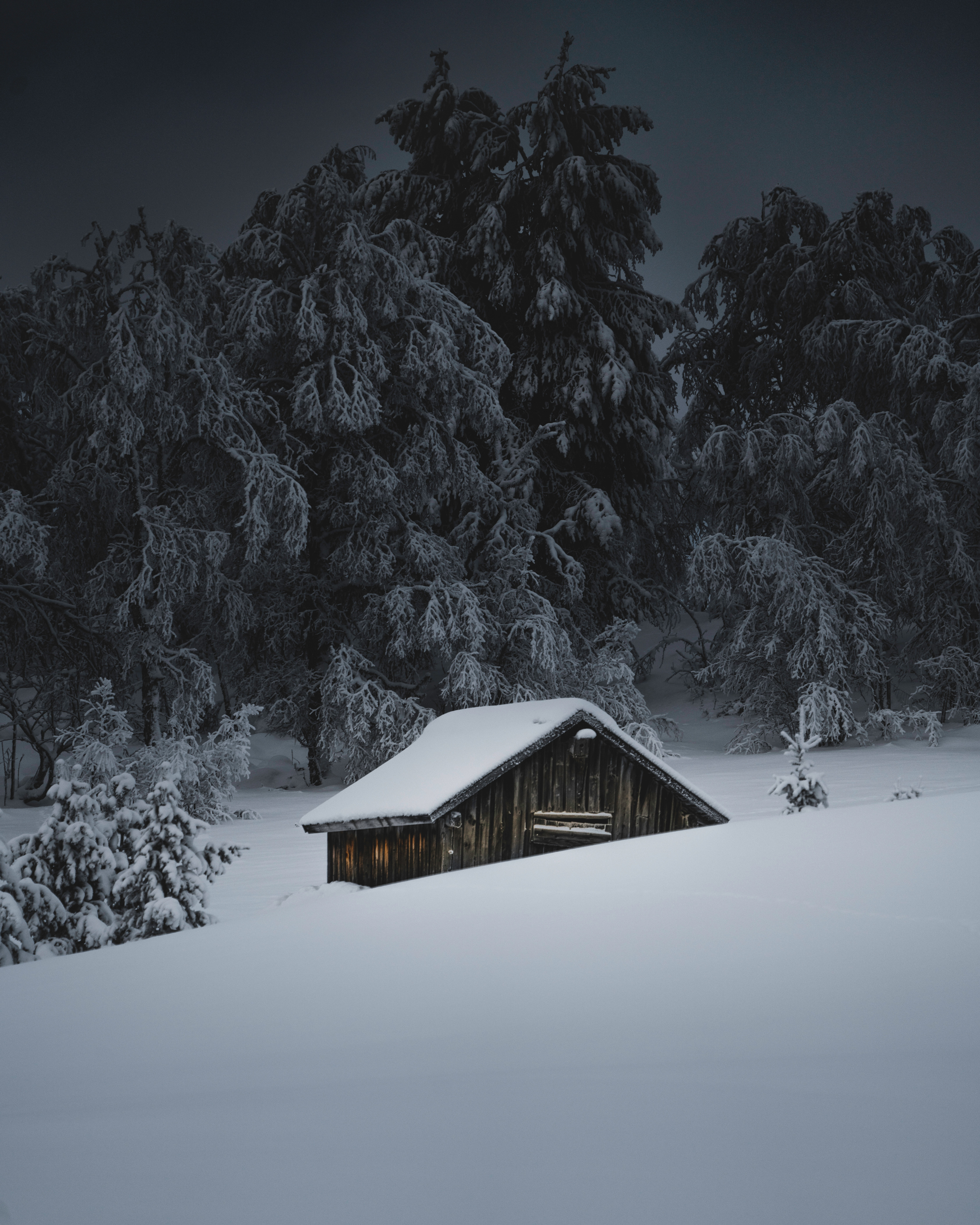 THE SHELTER
