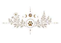 Untitled design.png