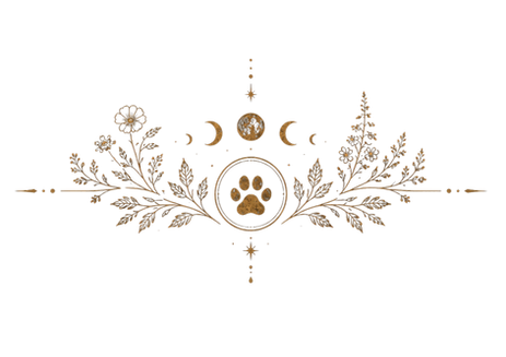 Untitled design.png