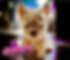 702179171_1863800260968757_6091182996743583076_n.png