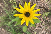 image5.jpeg