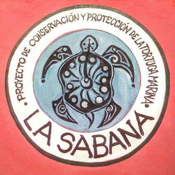 Logo del Proyecto de Conservación y protección de la Tortuga Marina La Sabana.