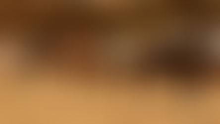 IQHA National & AQHA-Affiliated Show