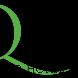 Writer: Irish Quarter Horse Association Clg.