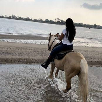 Horse_Experience.JPG