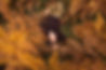 Victoria_retouched (9 of 13).jpg
