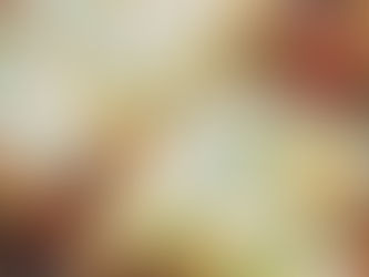 Zapečené tortilly s hovězím masem (rychlá večeře z trouby)