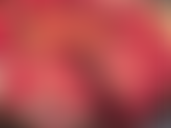 Čokoládový dort bez mouky ze 4 ingrediencí