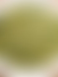 Rychlé krémové těstoviny s avokádovou omáčkou