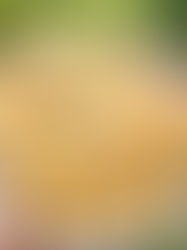 Domácí rohlíky z kynutého těsta (jednoduchý recept)