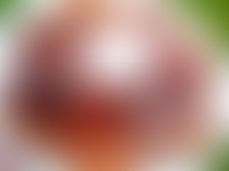 Nadýchané lívance plné bílkovin