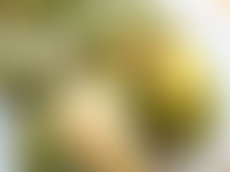 Špenátová tortilla s jednoduchou vajíčkovou pomazánkou