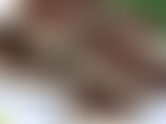 Rychlý kakaový koláč na plech s tvarohem