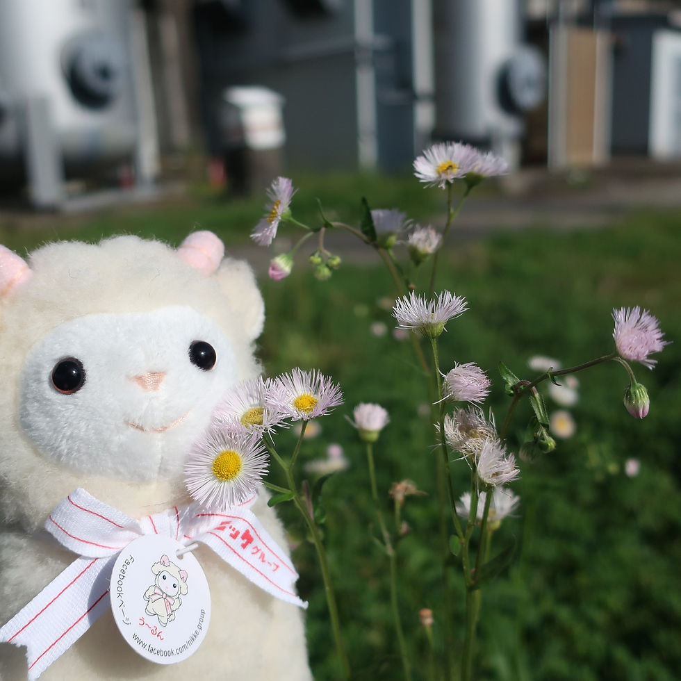 う~るんとの思い出日記