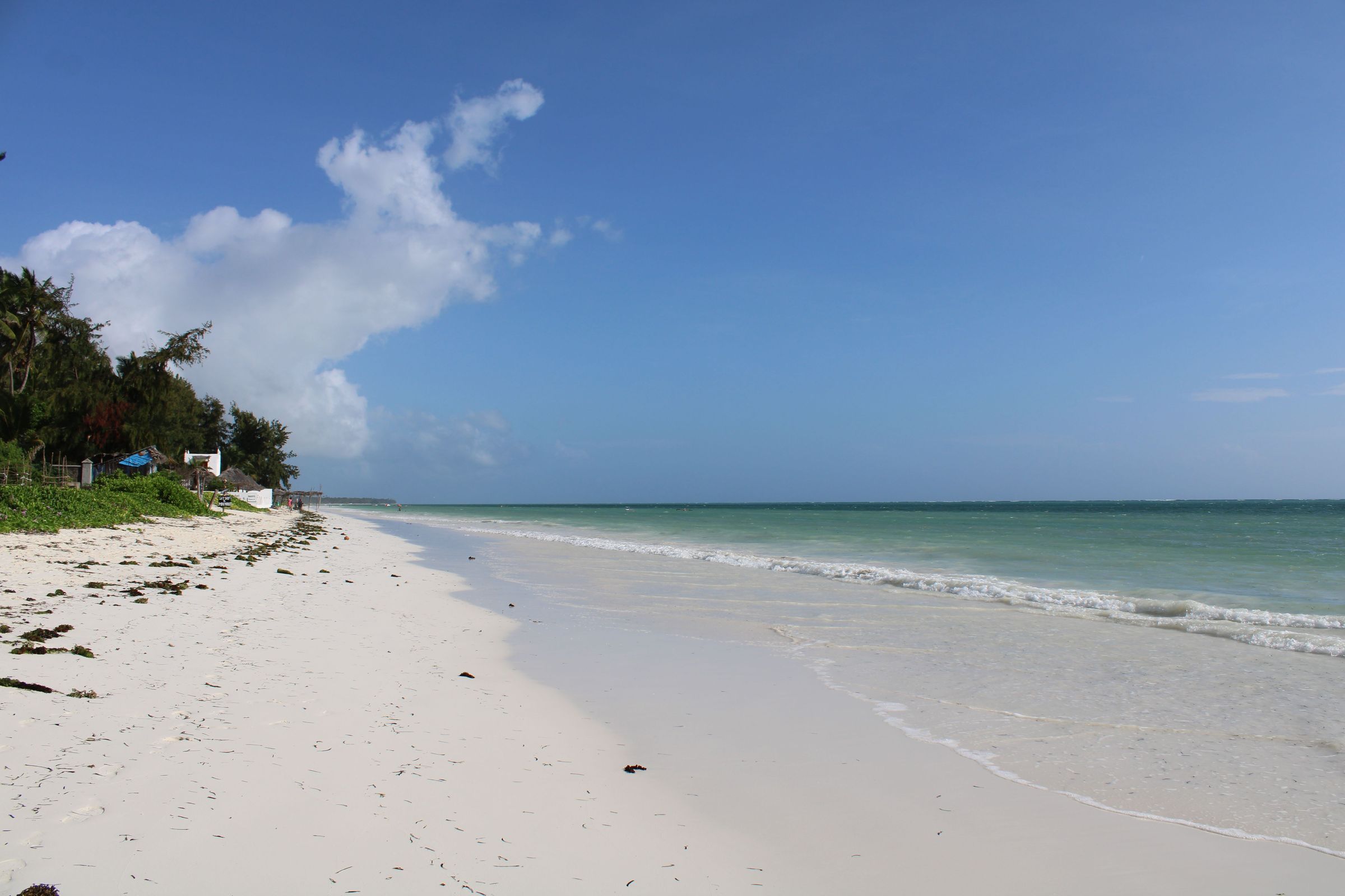 A quiet stretch of white-sand coastline with calm turquoise water