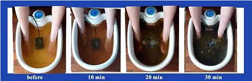 Aqua Detox at Body TLC