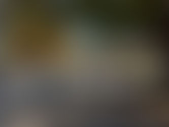 2021年度　練習編①